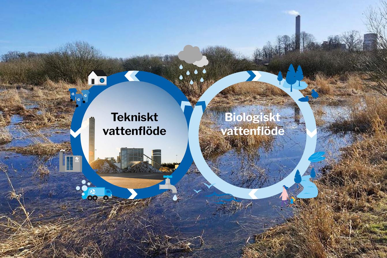 Illustration av tekniskt och biologiskt vattenflöde.