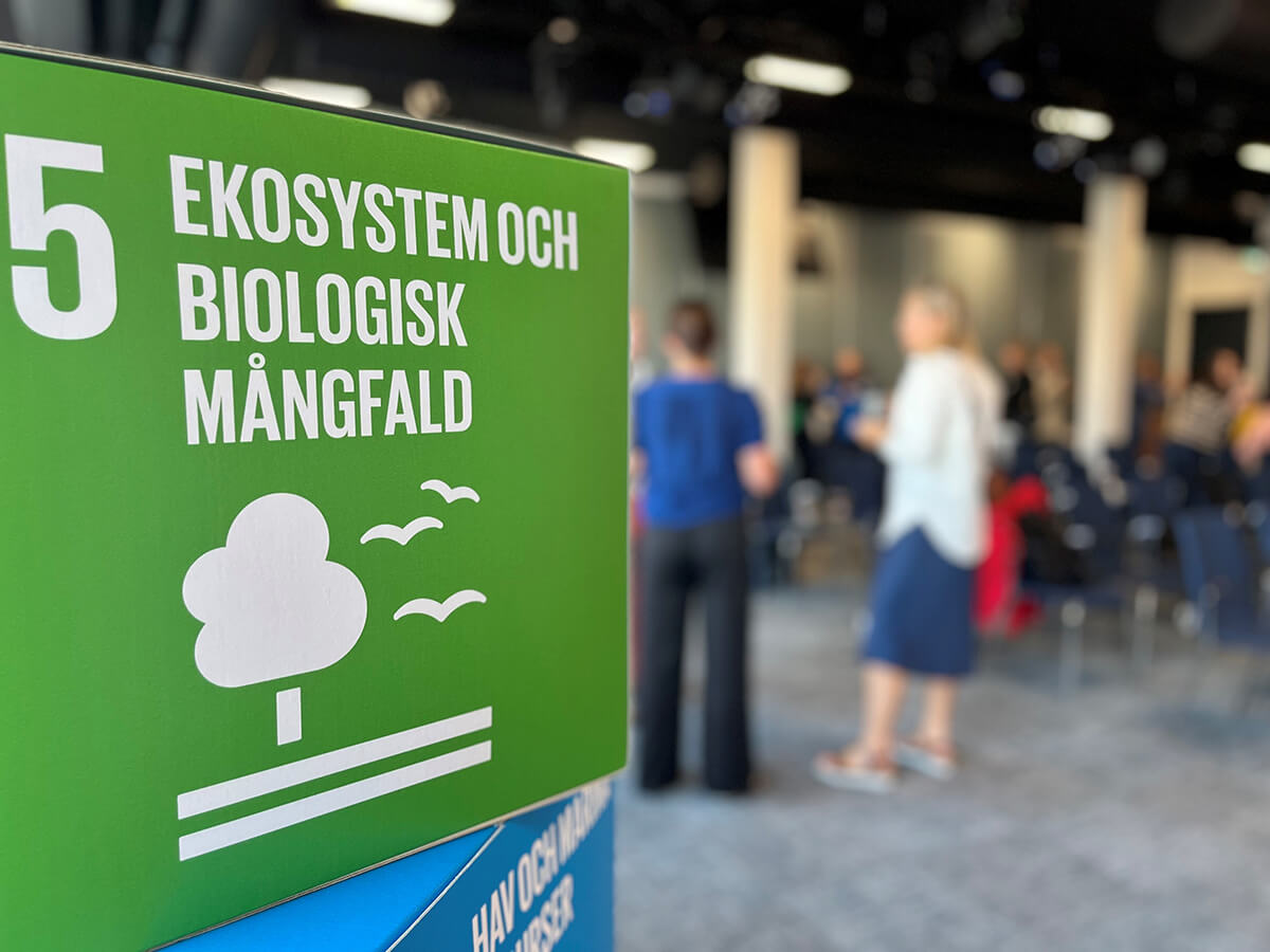 Kub-som-visar-det-globala-målet-nummer-fem-Ekosystem-och-biologisk-mångfald.jpg